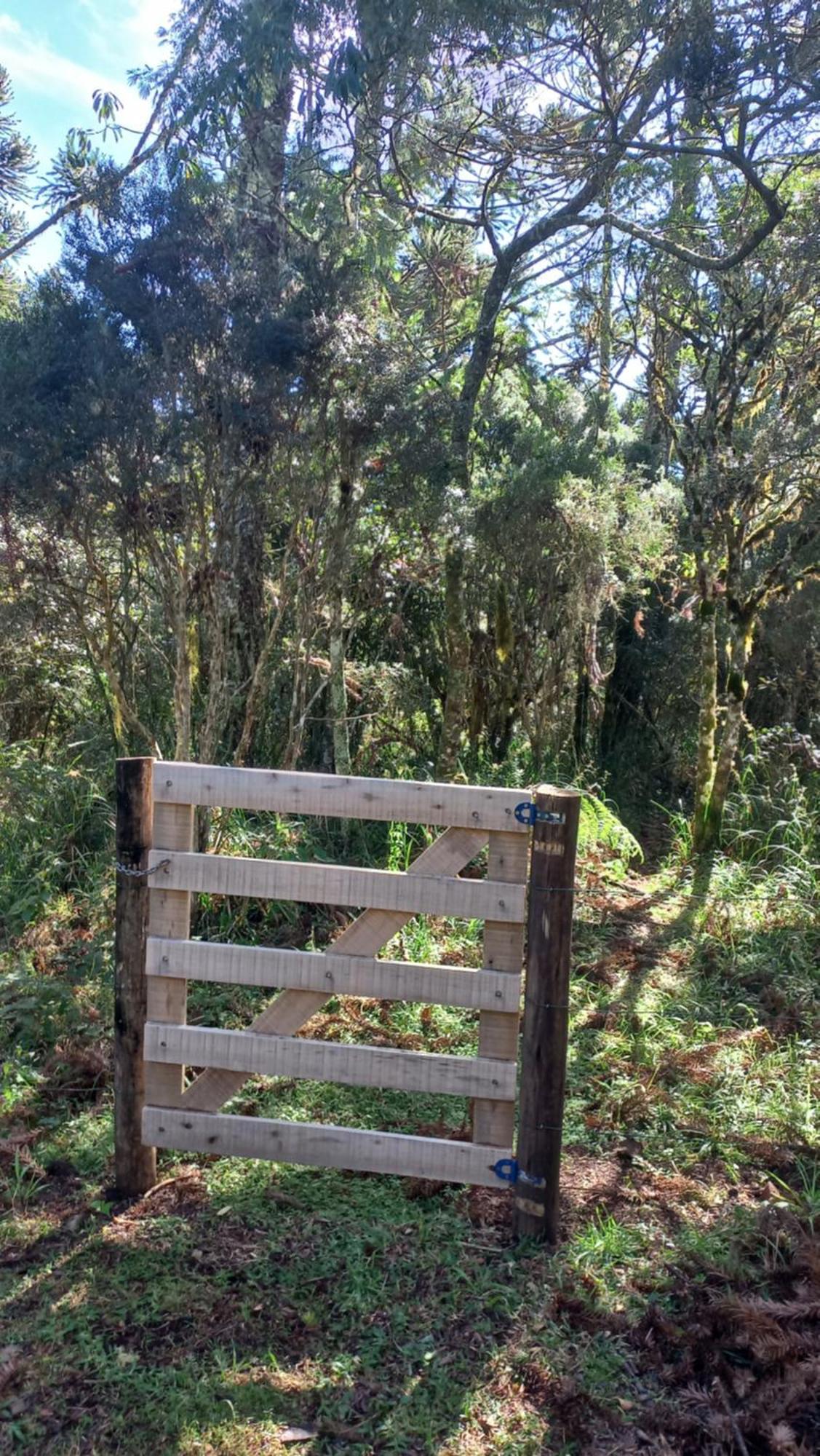 Cabana Na Floresta Rincao Do Fortaleza Cambará 외부 사진